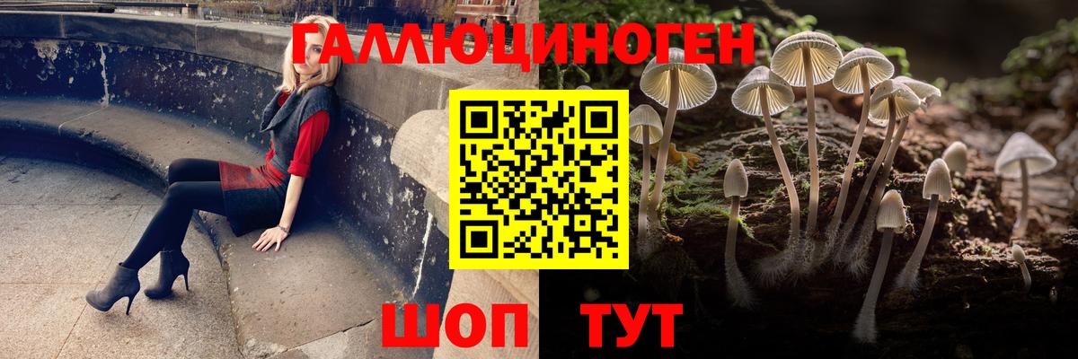 Галлюциногенные грибы мухоморы  Псилоцибиновые грибы Psilocybe  Дзержинск  купить наркоту  Вход с VPN 